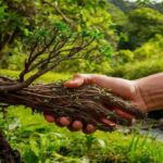 Leia mais sobre o artigo Ecologia e Casa Comum: O Planeta que nos Pertence a Todos