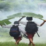 Leia mais sobre o artigo O Dia a Dia da Vida Cotidiana: O Lugar Onde a Vida Se Constrói