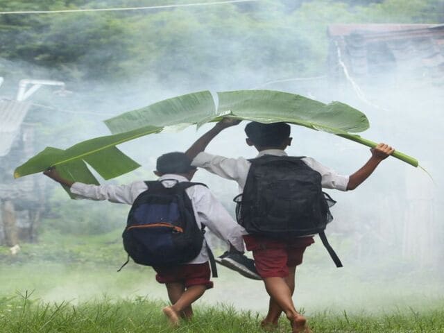 No momento, você está visualizando O Dia a Dia da Vida Cotidiana: O Lugar Onde a Vida Se Constrói